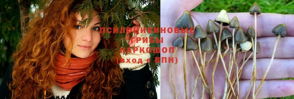 COCAINE Арсеньев